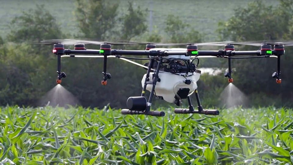 agriculture
