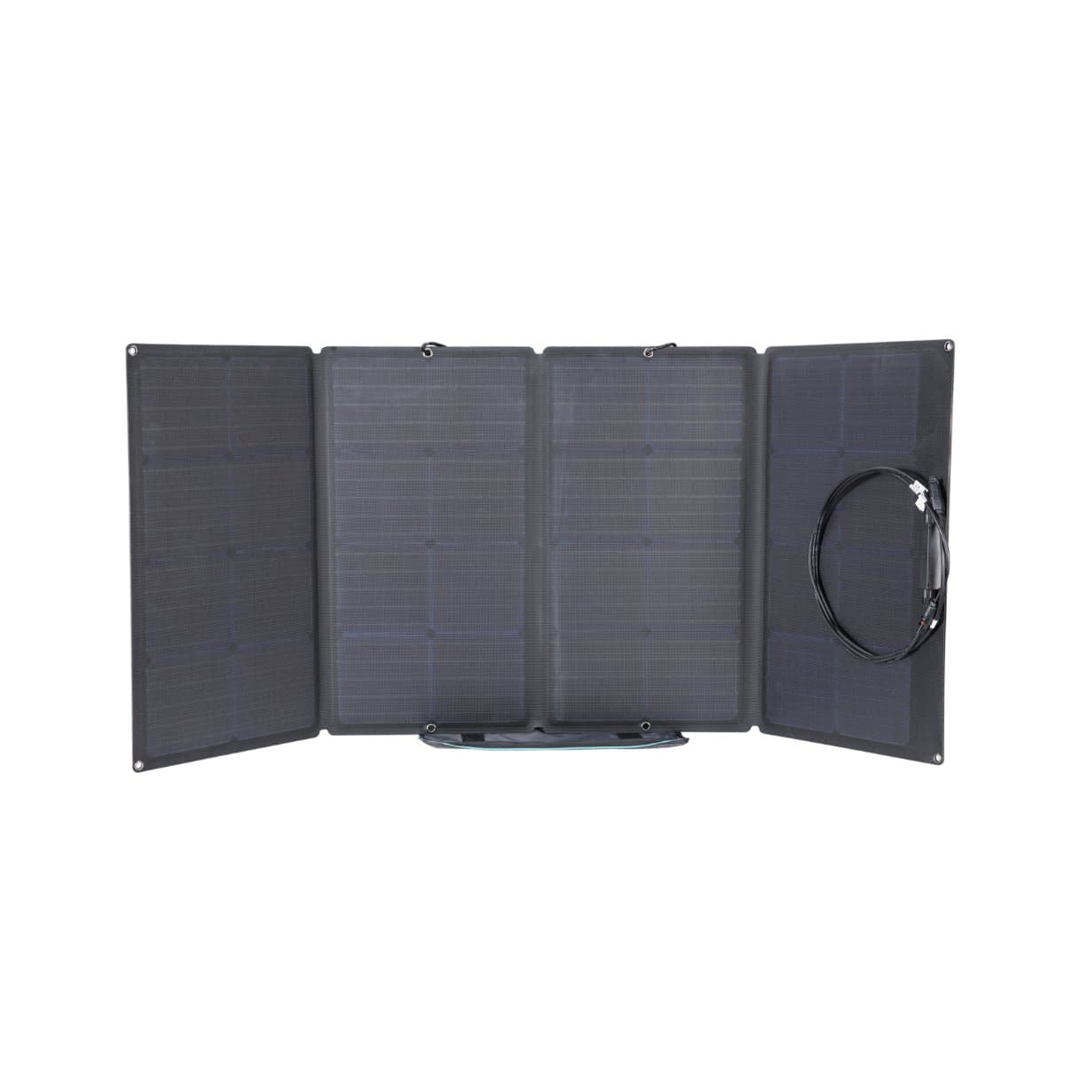 Panneau solaire 160W EcoFlow - Image 2