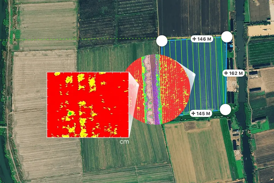 DJI P4 Multispectral