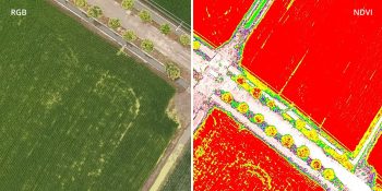 DJI P4 Multispectral