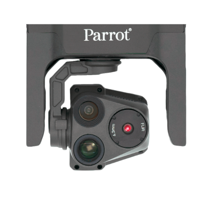 parrot usa 2-min