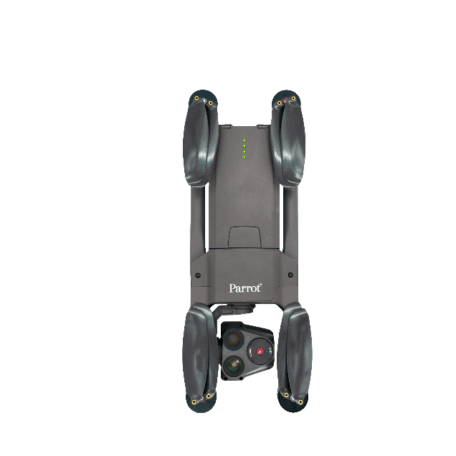 parrot usa 3-min