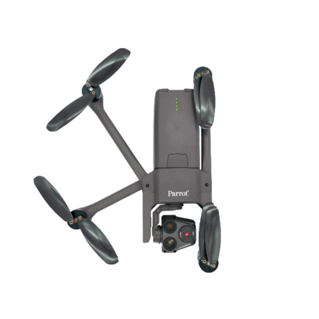 parrot usa 4-min