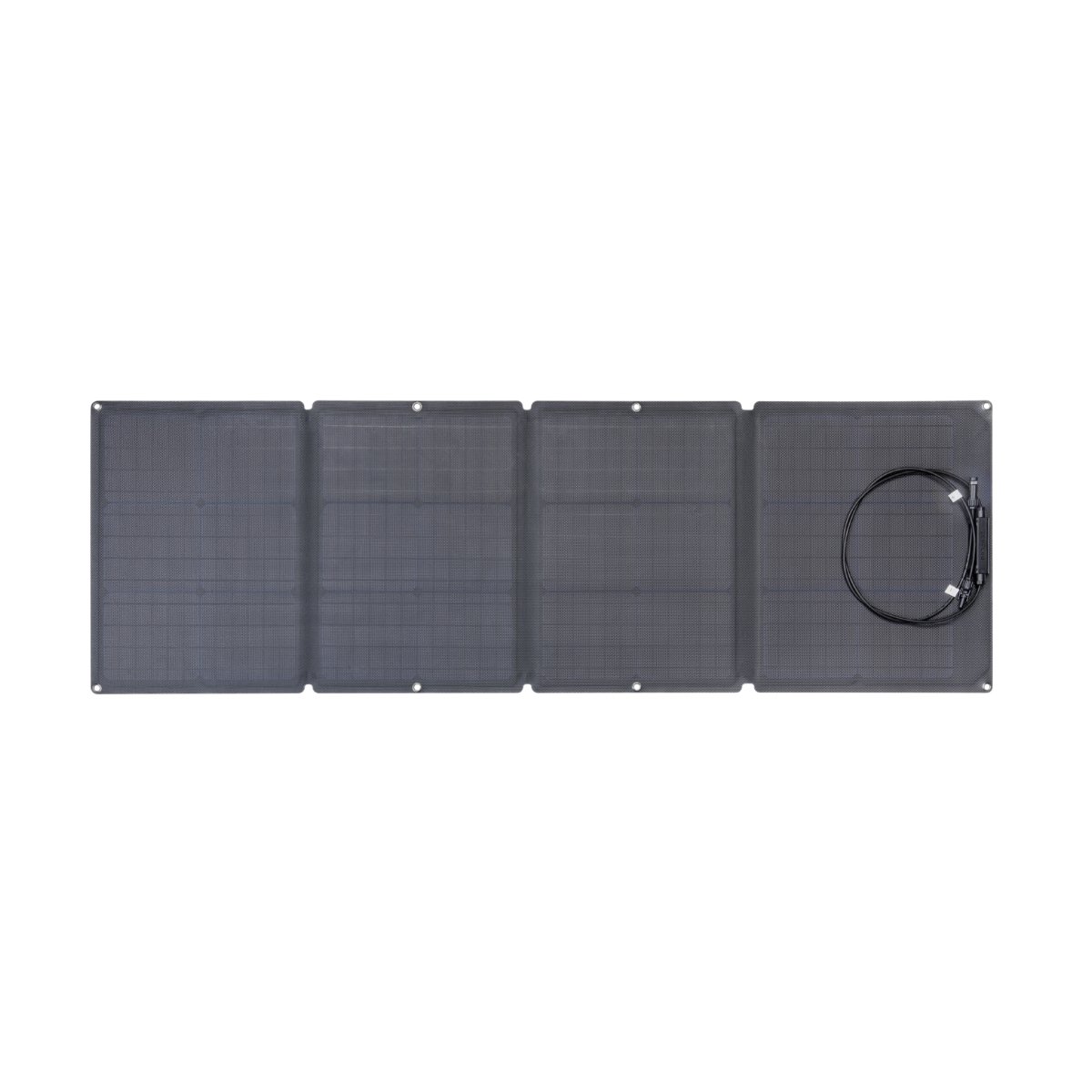 EcoFlow Panneau Solaire 110W