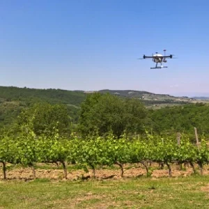 Formation opérationnelle à l'épandage viticole par drone